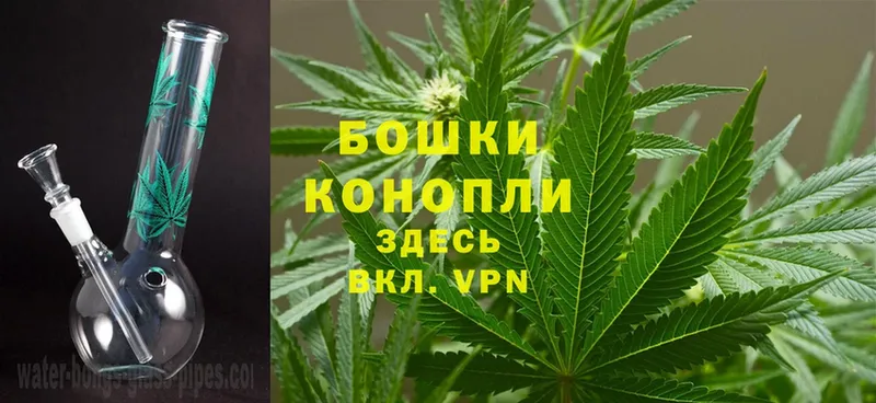 Бошки Шишки THC 21%  купить   Харабали 